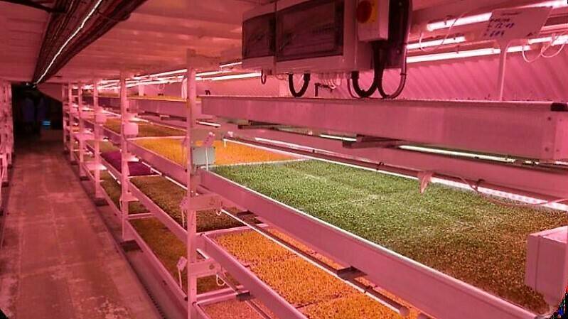 iluminacion artificial 2|spad-aquateknica|iluminaci-n-Bures-2